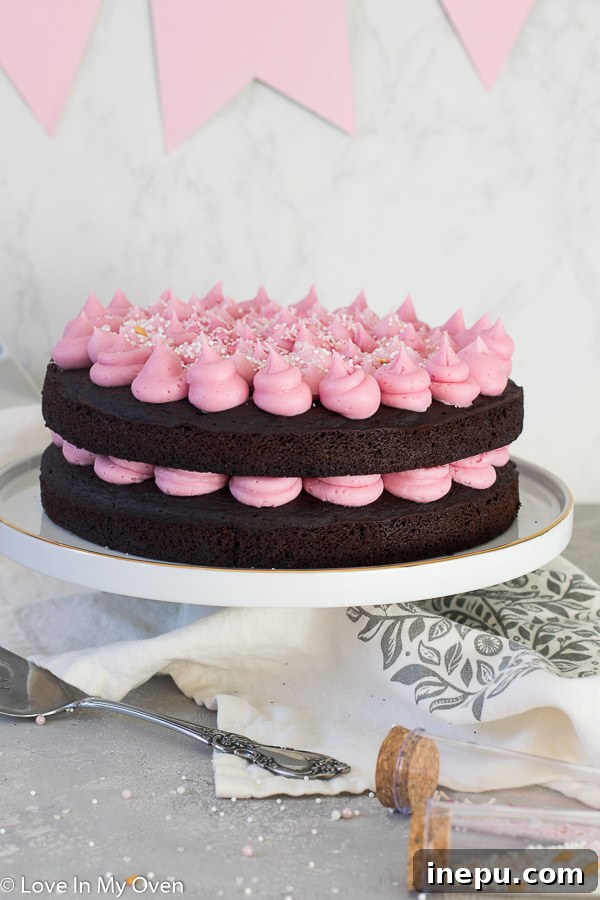 Velvet Beet Chocolate Delight 2 vegan chocolate beet cake, plant-based dessert