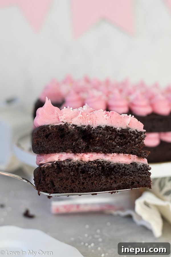 Velvet Beet Chocolate Delight 11 slice of vegan chocolate beet cake