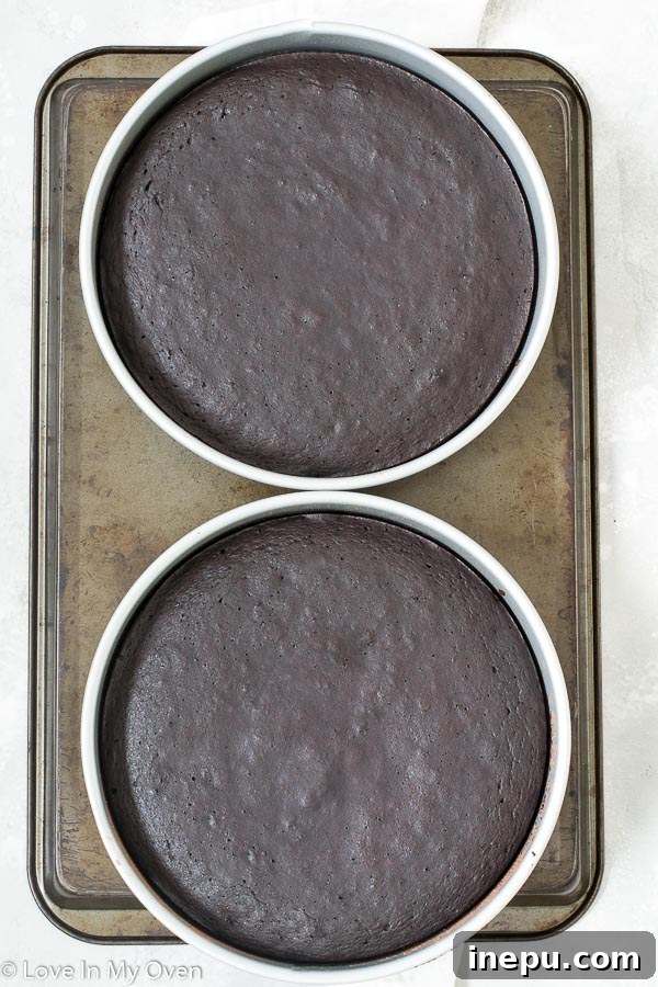 Velvet Beet Chocolate Delight 7 baked vegan chocolate beet cake layers