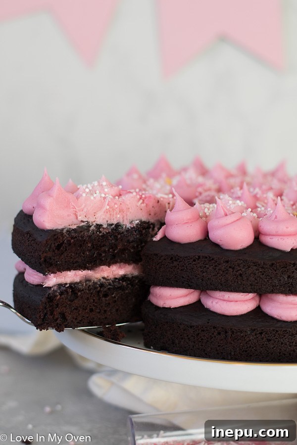 Velvet Beet Chocolate Delight 10 vegan chocolate beet cake with pink frosting