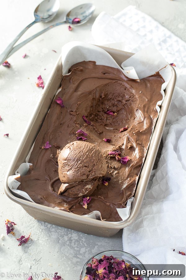 Rich, dark vegan chocolate ice cream (no churn) scooped into a bowl