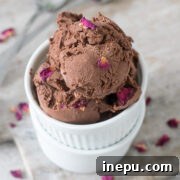 vegan chocolate ice cream