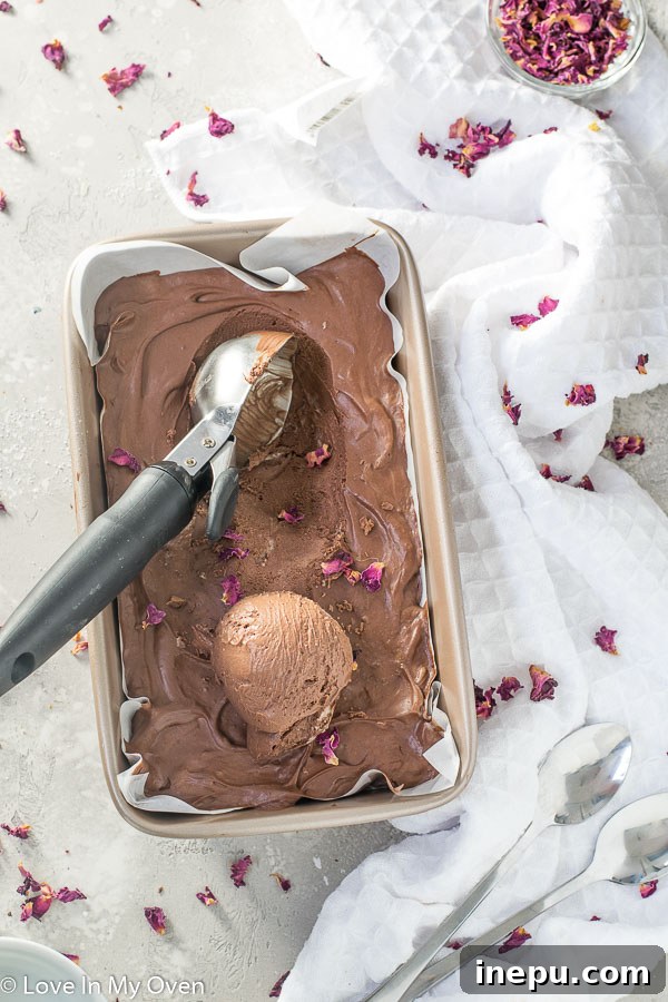 Close-up of creamy vegan chocolate ice cream (no churn) in a serving bowl