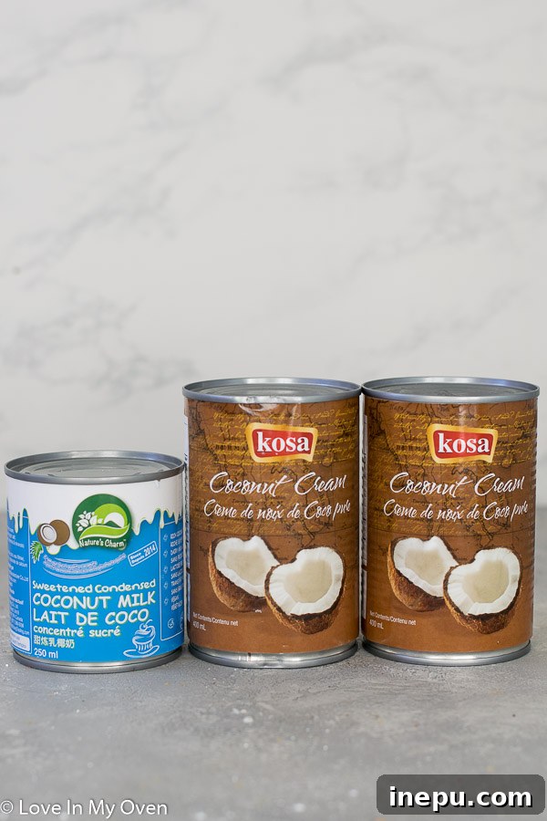 Ingredients for vegan chocolate ice cream: coconut cream, condensed coconut milk, and cocoa powder