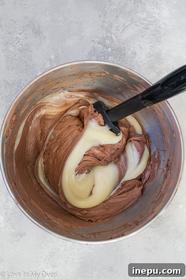 Mixing cocoa powder into whipped coconut cream for vegan ice cream