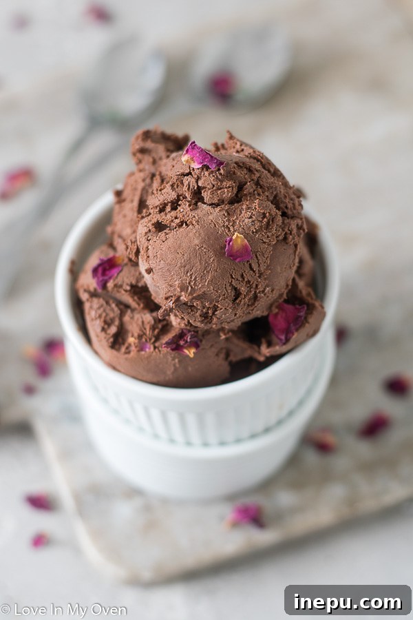 Two scoops of vegan chocolate ice cream (no churn) in a bowl with a spoon