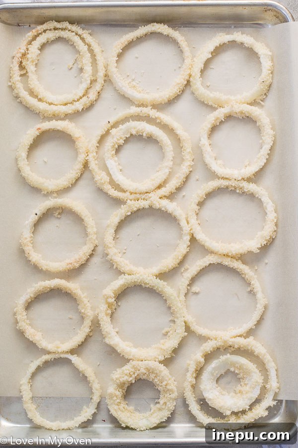 Crispy Oven Rings with Golden Fish Bites 6 Breading Onion Rings with Panko for Extra Crispiness