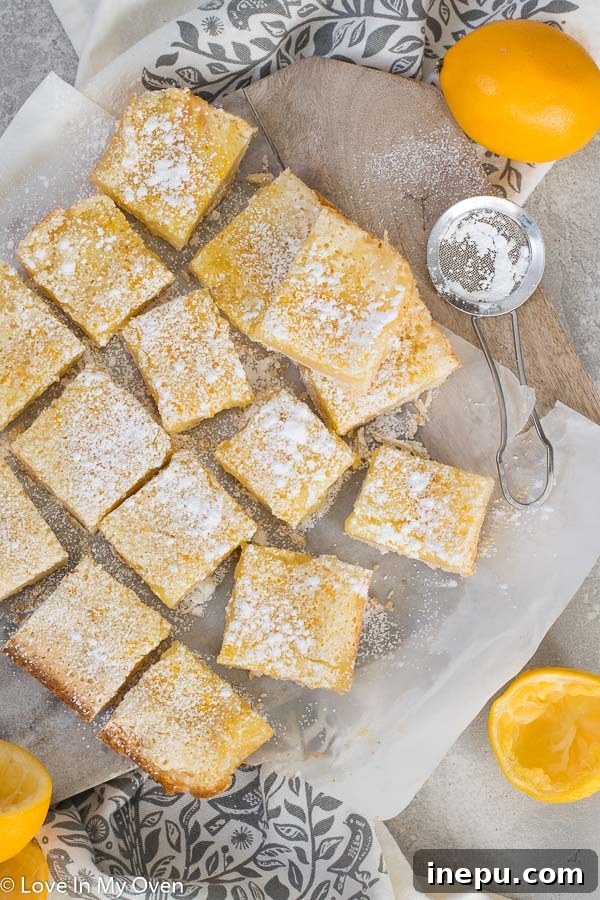 Bright Meyer Lemon Dream Bars 3 Close-up of freshly baked Meyer Lemon Bars with a golden shortbread crust.