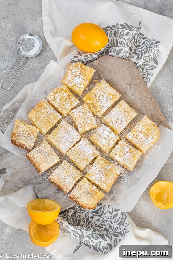 Bright Meyer Lemon Dream Bars 6 Finished Meyer Lemon Bars arranged on a plate, dusted with powdered sugar.