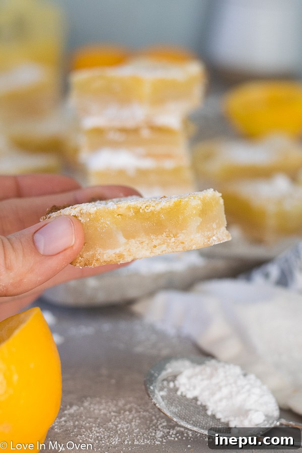 Bright Meyer Lemon Dream Bars 8 A stack of three perfect Meyer lemon bars, dusted with powdered sugar, on a white plate.