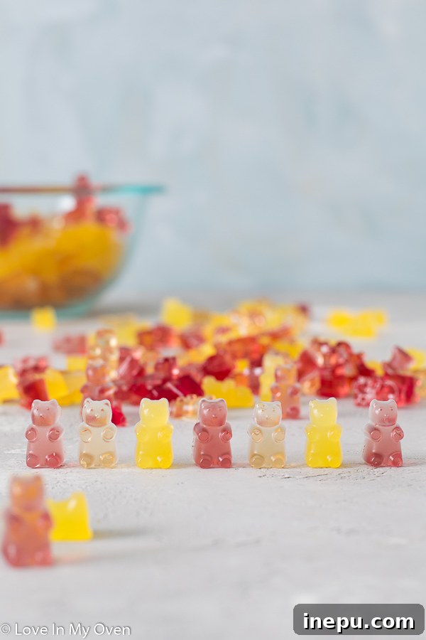 DIY Gummy Bear Magic 2 Delicious and healthy homemade gummy bears in various fruit flavors
