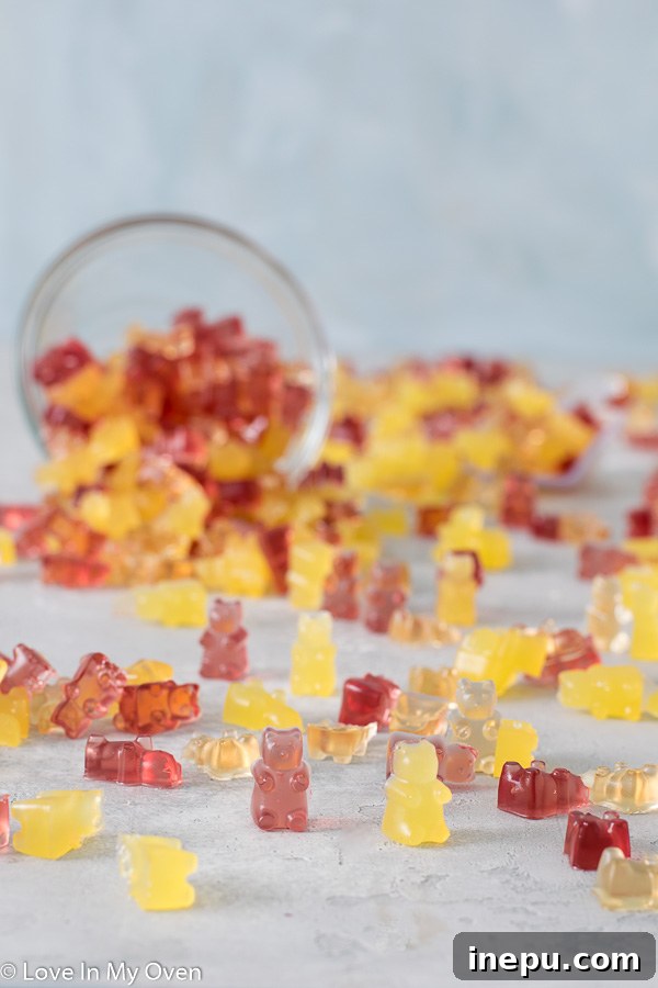 DIY Gummy Bear Magic 3 Assorted homemade gummy bears crafted with natural fruit juice