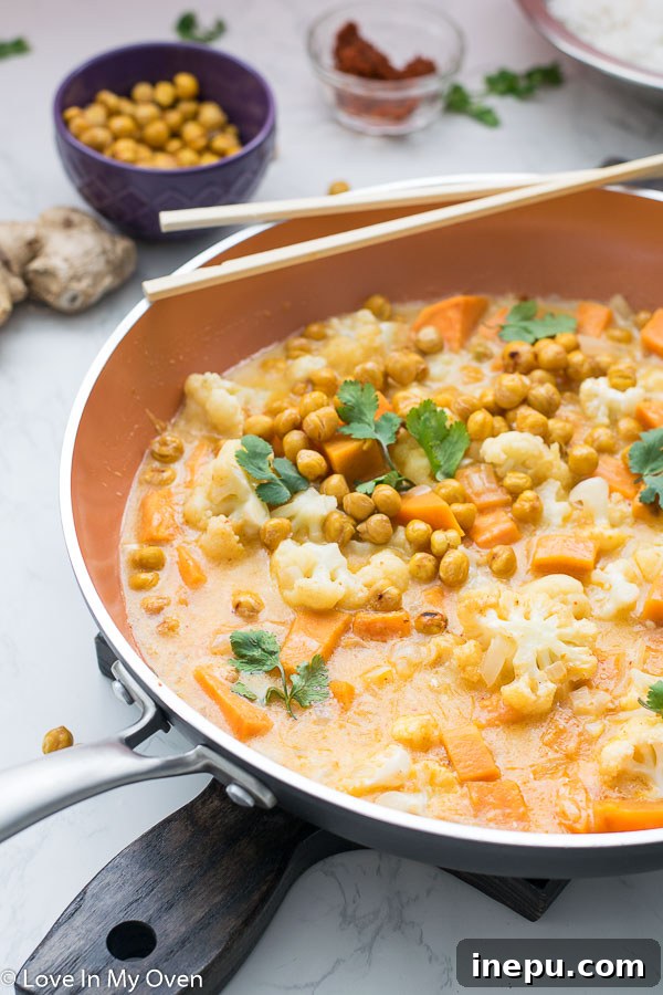 Easy Vegetarian Curry in a bowl, top view