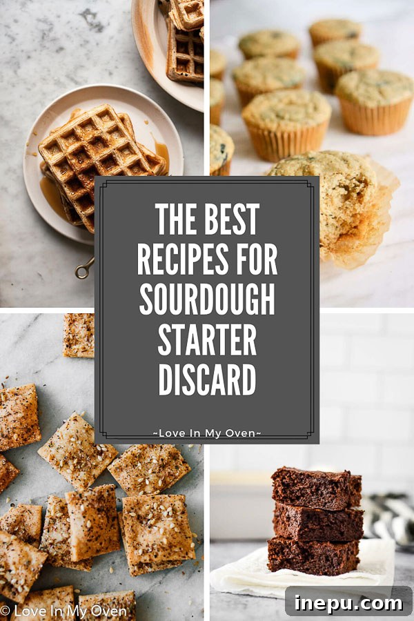 From Scraps to Snacks Sourdough Discard Recipes 2 Delicious recipes for sourdough starter discard