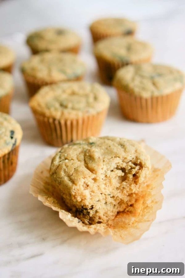 From Scraps to Snacks Sourdough Discard Recipes 3 Blueberry Banana Sourdough Muffins recipe