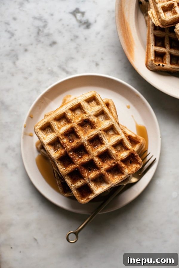 From Scraps to Snacks Sourdough Discard Recipes 5 Overnight Sourdough Spelt Waffles recipe
