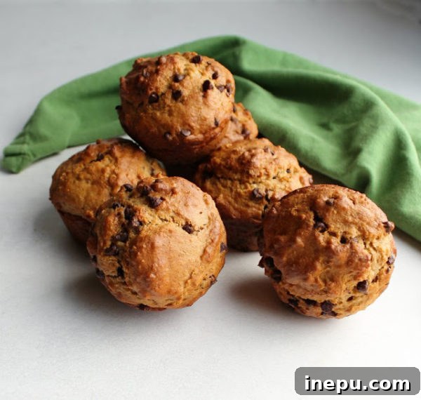 From Scraps to Snacks Sourdough Discard Recipes 6 Oatmeal and Chocolate Chip Sourdough Muffins recipe