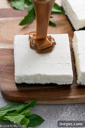 No-bake cheesecake bars with blueberry and caramel toppings