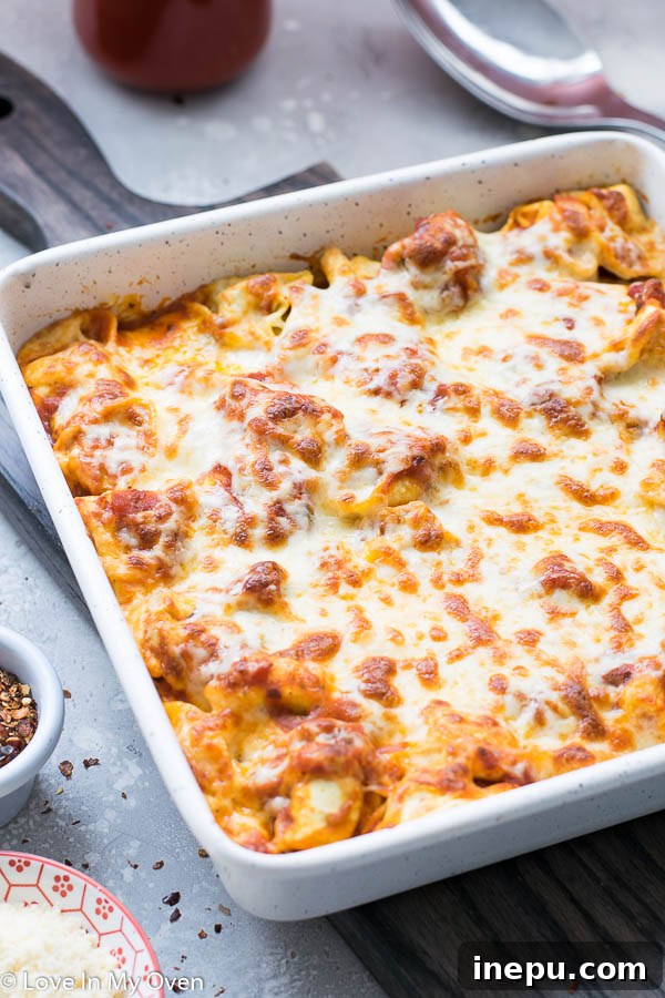 Ultimate Cheesy Tortellini Bake 6 Close-up of the Cheesy Tortellini Bake with melted, golden-brown cheese and bubbling sauce.