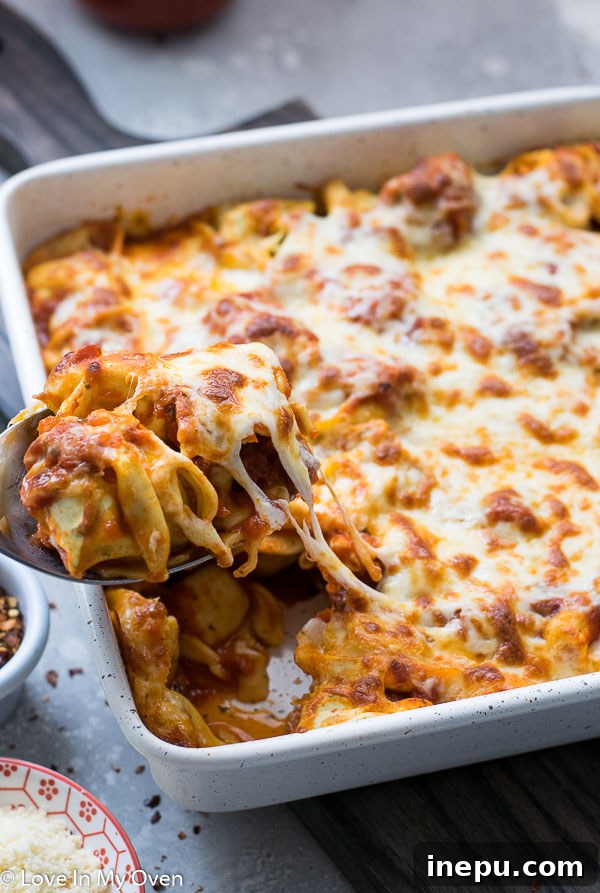 Ultimate Cheesy Tortellini Bake 7 A slice of Cheesy Tortellini Bake being lifted from the casserole dish, showing the layers of pasta, sauce, and cheese.