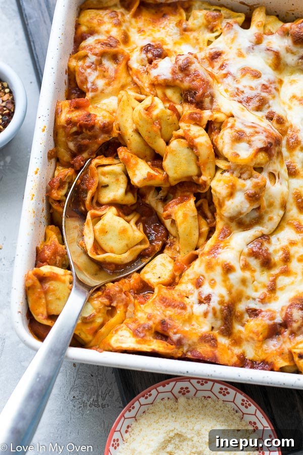 Ultimate Cheesy Tortellini Bake 8 Individual serving of Cheesy Tortellini Bake on a plate, garnished with fresh basil.