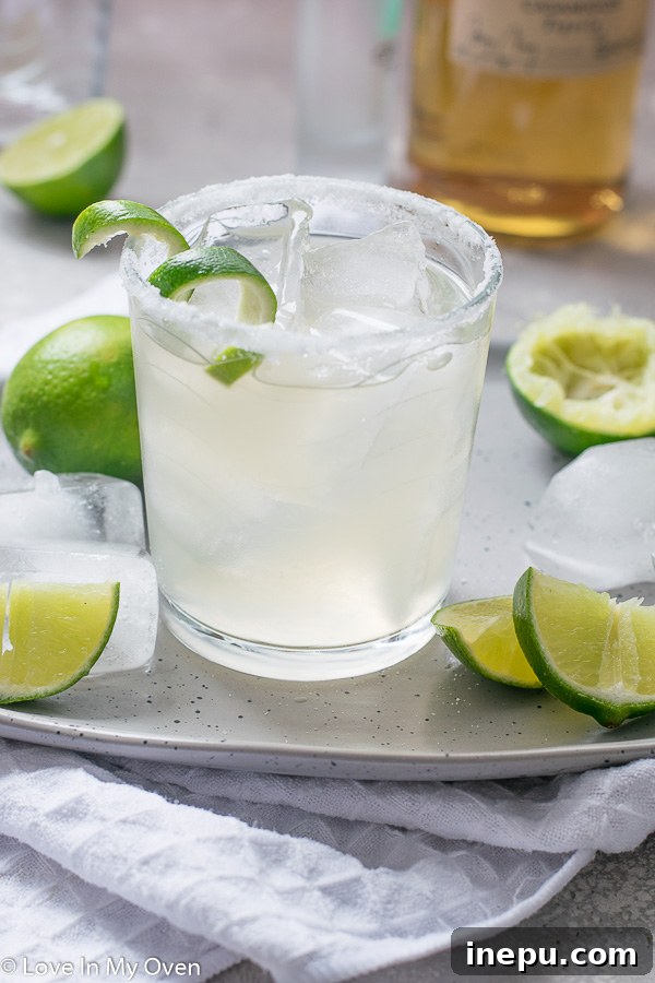 The Essential Margarita 4 Refreshing simple margarita garnished with lime on a rustic surface