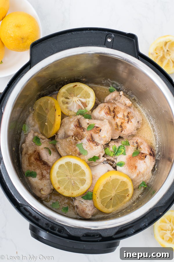 Instant Pot Lemon Garlic Chicken Thighs – A succulent, easy-to-make chicken recipe for your Instant Pot