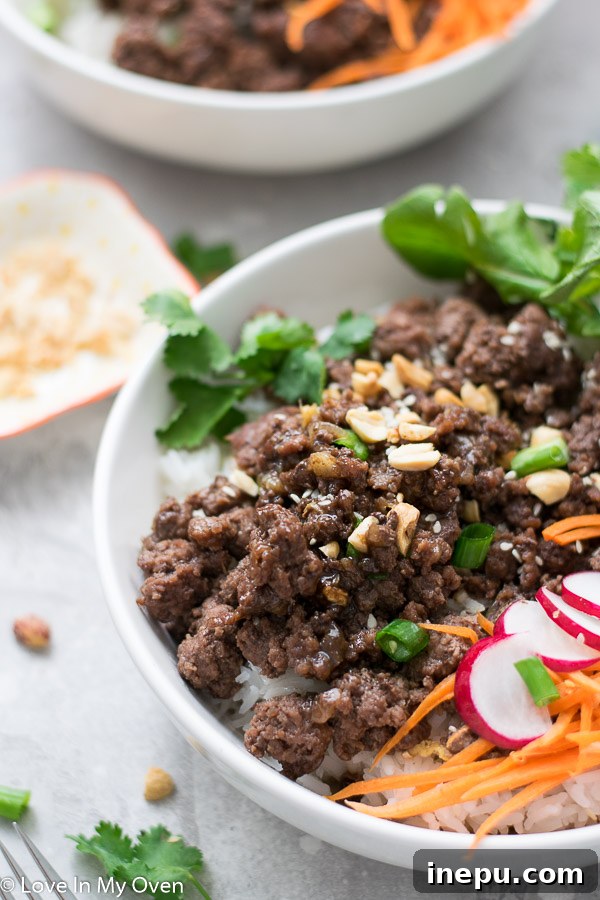Sticky Hoisin Beef Bowls 6 Styled image of Hoisin Beef Bowls
