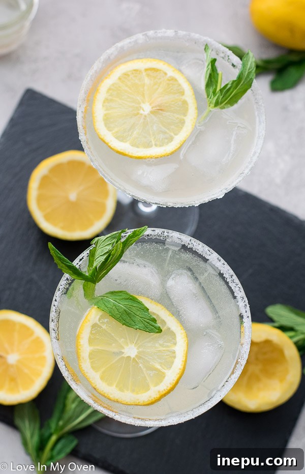 Close-up of a refreshing lemon vodka cocktail garnished with a lemon slice.