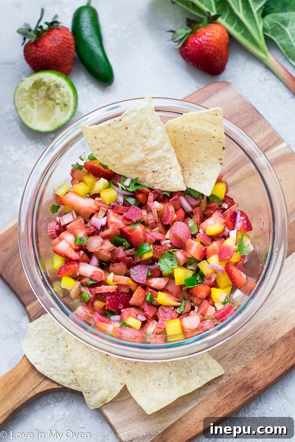 Tangy Berry Rhubarb Salsa 2 Fresh Strawberry Rhubarb Salsa with Chips