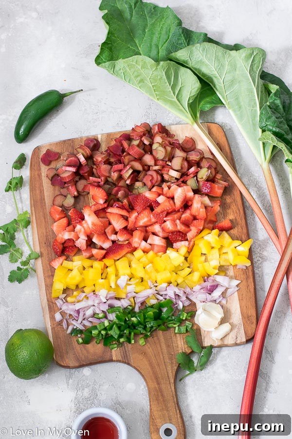 Tangy Berry Rhubarb Salsa 4 Ingredients for Strawberry Rhubarb Salsa