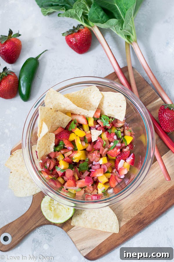 Tangy Berry Rhubarb Salsa 6 Rhubarb Salsa with Fresh Ingredients