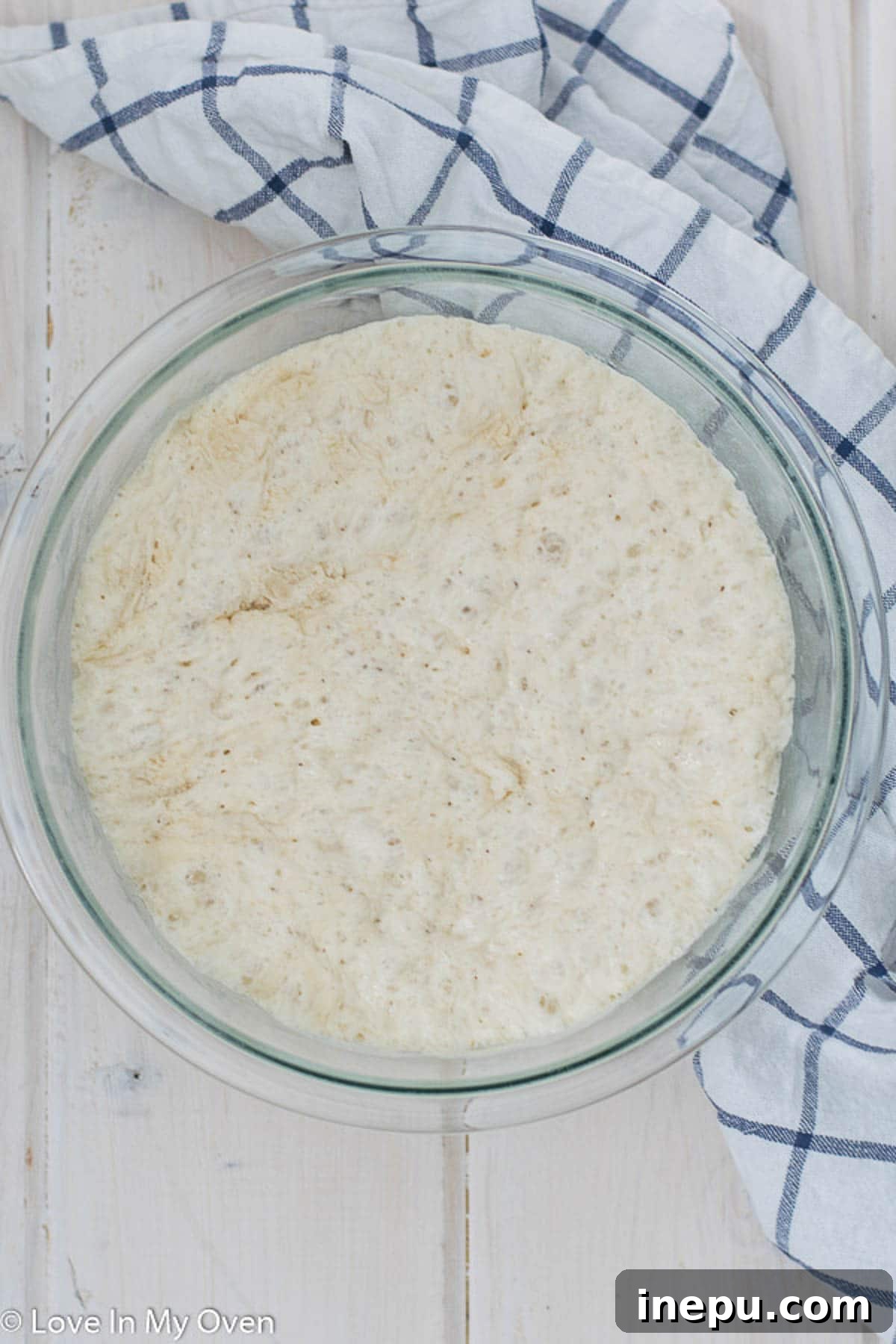 Effortless 3-Ingredient Bread 5 Risen no knead bread dough