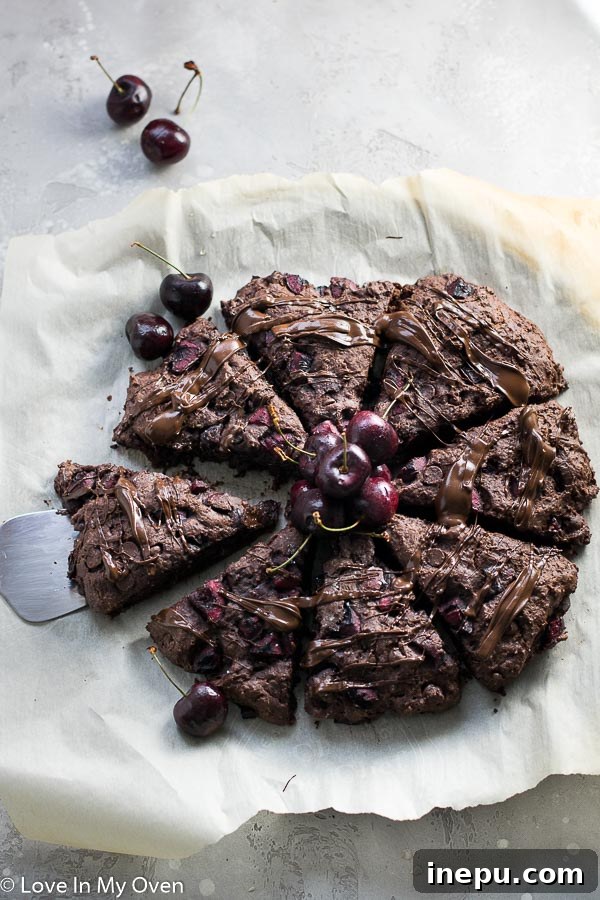 Decadent Chocolate Cherry Scones 2 Delicious fresh cherry chocolate scones drizzled with melted chocolate