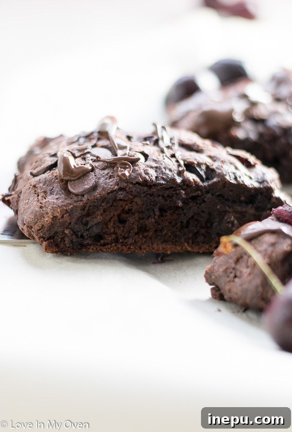 Decadent Chocolate Cherry Scones 3 Close-up of freshly baked chocolate cherry scones on a cooling rack