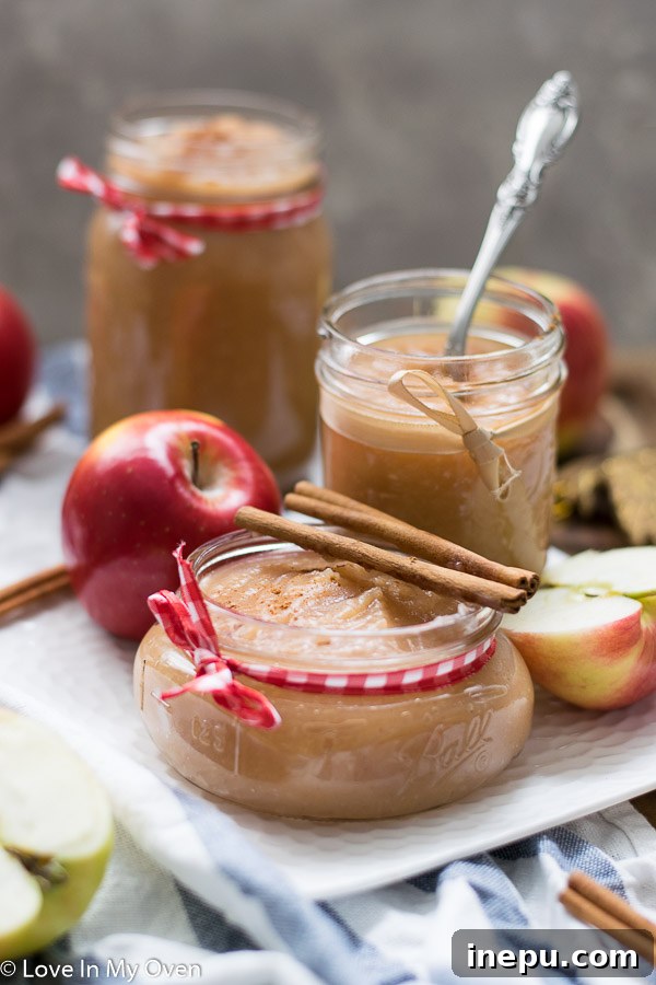 Kitchen Crafted Sugar-Free Applesauce 2 Delicious homemade unsweetened applesauce in a glass bowl, garnished with a cinnamon stick, perfect for a healthy snack or baking ingredient.