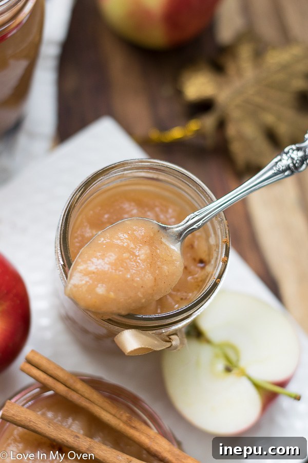 Kitchen Crafted Sugar-Free Applesauce 6 A spoonful of homemade unsweetened applesauce, showcasing its smooth texture and natural appeal.