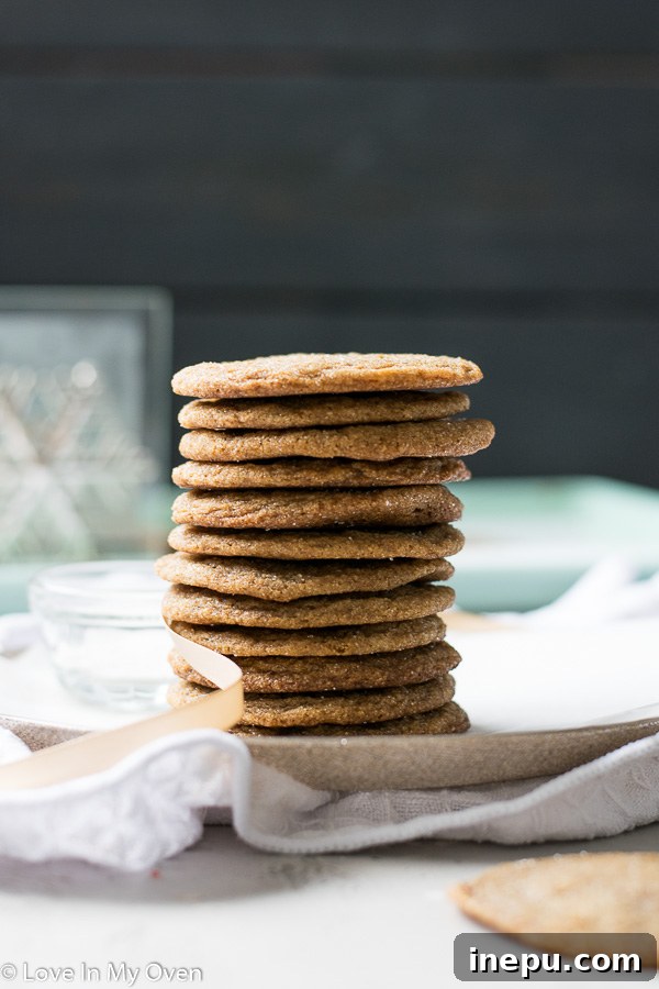 Spiced Molasses Ginger Chews 2 chewy ginger molasses cookies