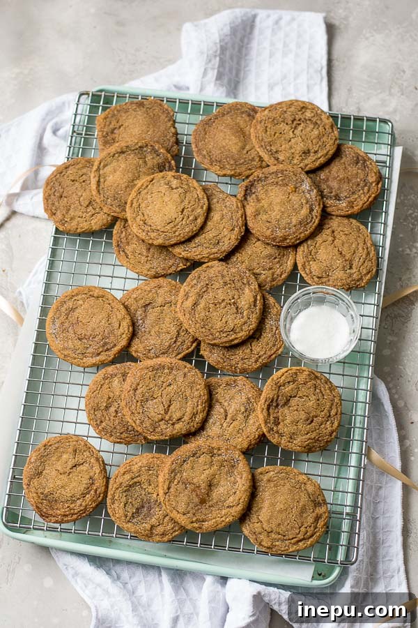 Spiced Molasses Ginger Chews 3 chewy ginger molasses cookies