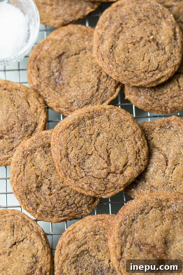 Spiced Molasses Ginger Chews 4 chewy ginger molasses cookies