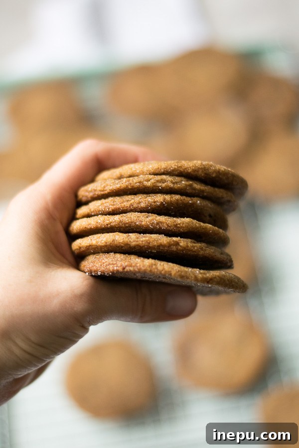 Spiced Molasses Ginger Chews 8 chewy ginger molasses cookies