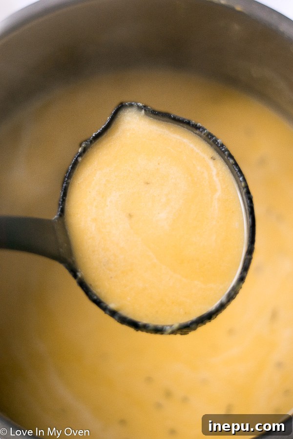 Finished Creamy Butternut Squash Soup