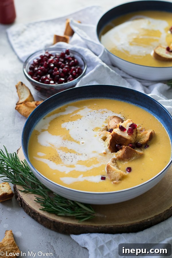 Close-up of Butternut Squash Soup