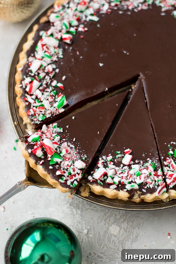 Decadent Grain Free Peppermint Chocolate Tart 4 Easy Peppermint Chocolate Tart Recipe