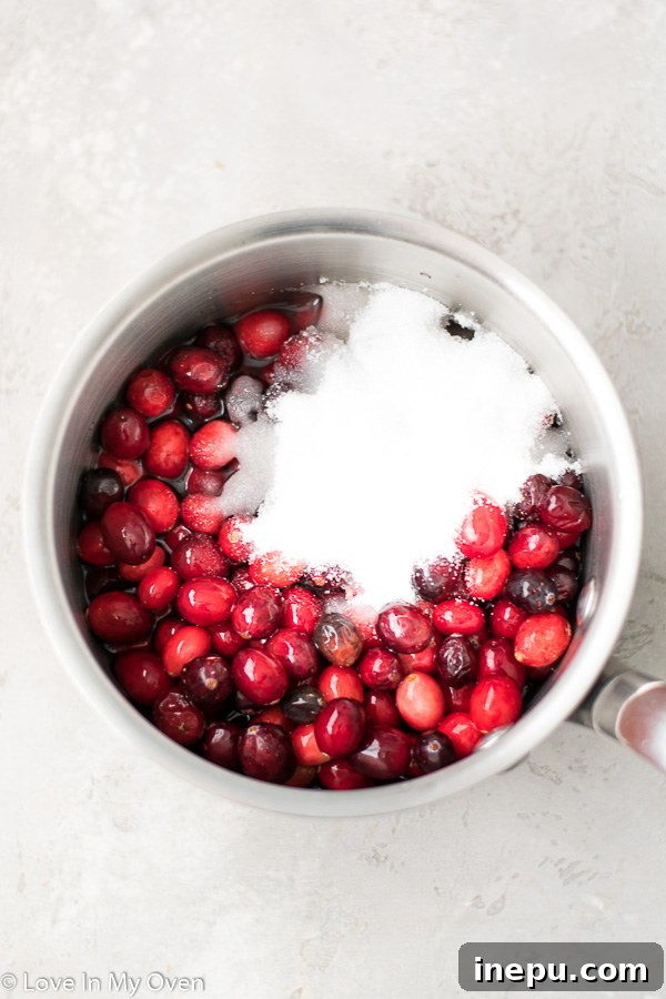Cranberries, water, and sugar simmering in a saucepan.