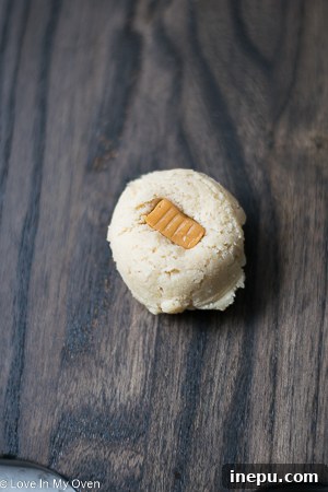 Decadent Caramel Snickerdoodles 6 A neatly rolled cookie dough ball with caramel inside
