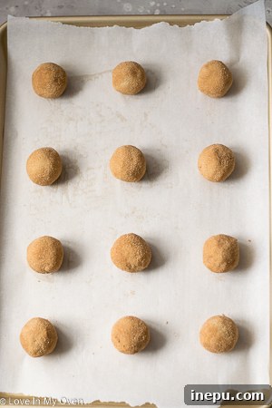 Decadent Caramel Snickerdoodles 8 Close-up of snickerdoodle dough balls coated in cinnamon sugar