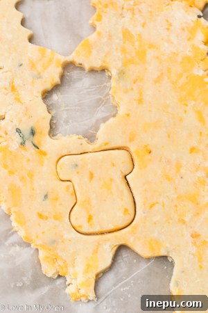 A small round savory cookie, golden brown with visible specks of thyme and cheese.