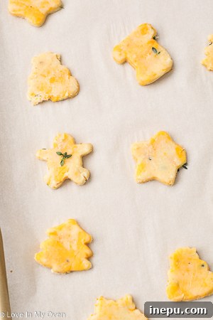 Golden Cheddar Thyme Shortbread 8 A small star-shaped savory cookie, perfectly baked with a crisp texture.
