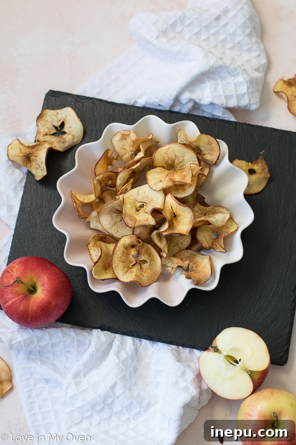 Air Fryer Apple Chips, perfectly golden and crispy on a plate